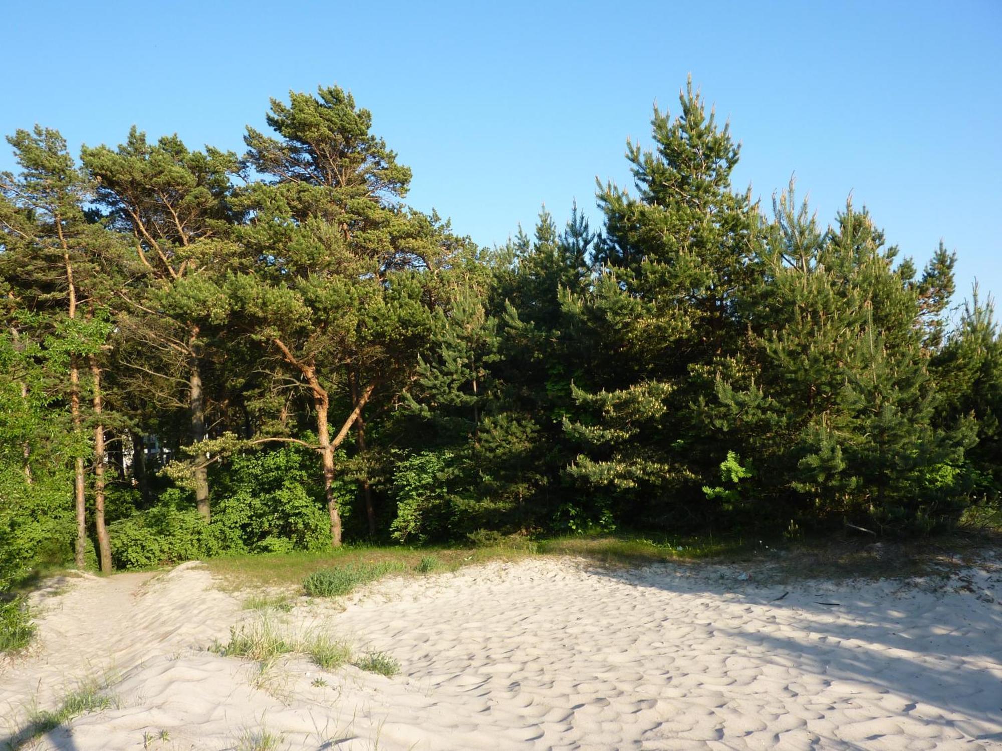 Palangos Apartamentai - Bangu Palanga Esterno foto